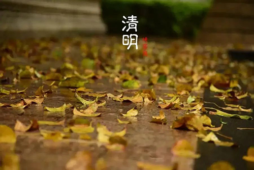 “寒冷”的清明。。。